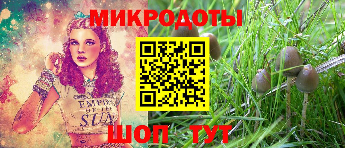 Псилоцибиновые грибы Cubensis Коряжма