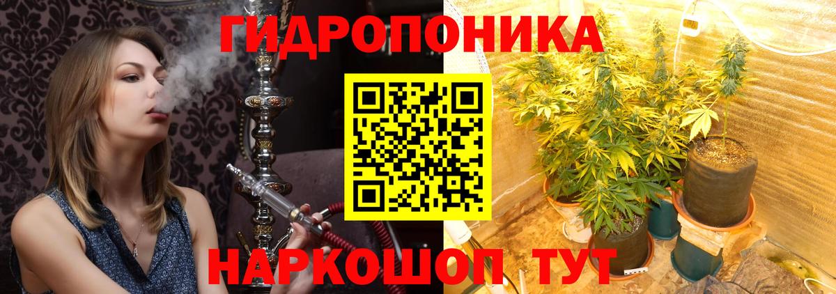 Конопля Amnesia  Бошки марихуана OG Kush  Вход с VPN  Бошки марихуана конопля  Коряжма  МАРИХУАНА VHQ 